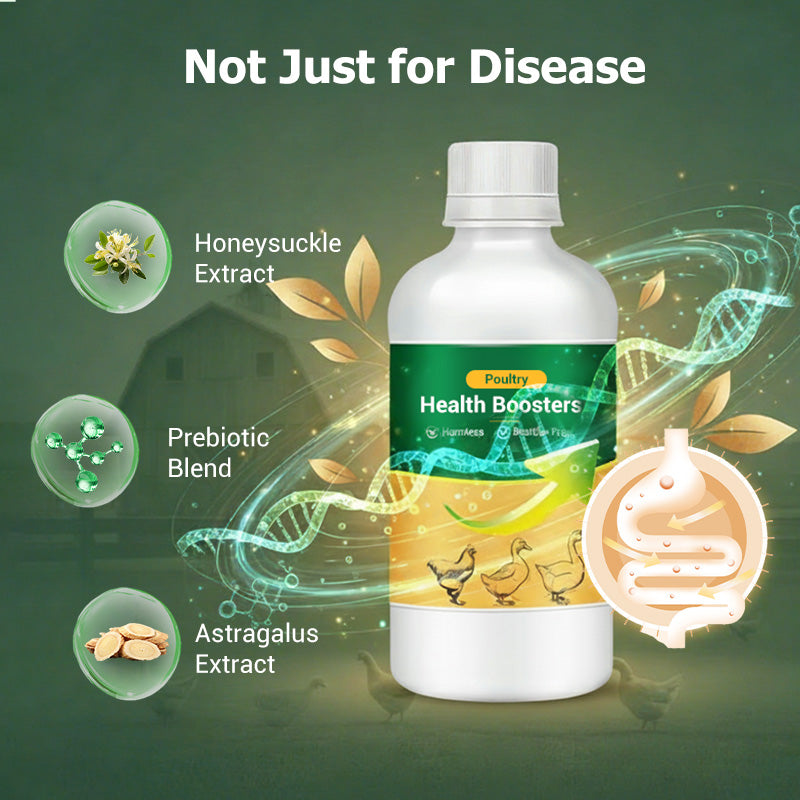 🐓Poultry Multi-Symptom Oral Solution – Treats Respiratory, Digestive & Immune Issues in One Dose!🐔💦
