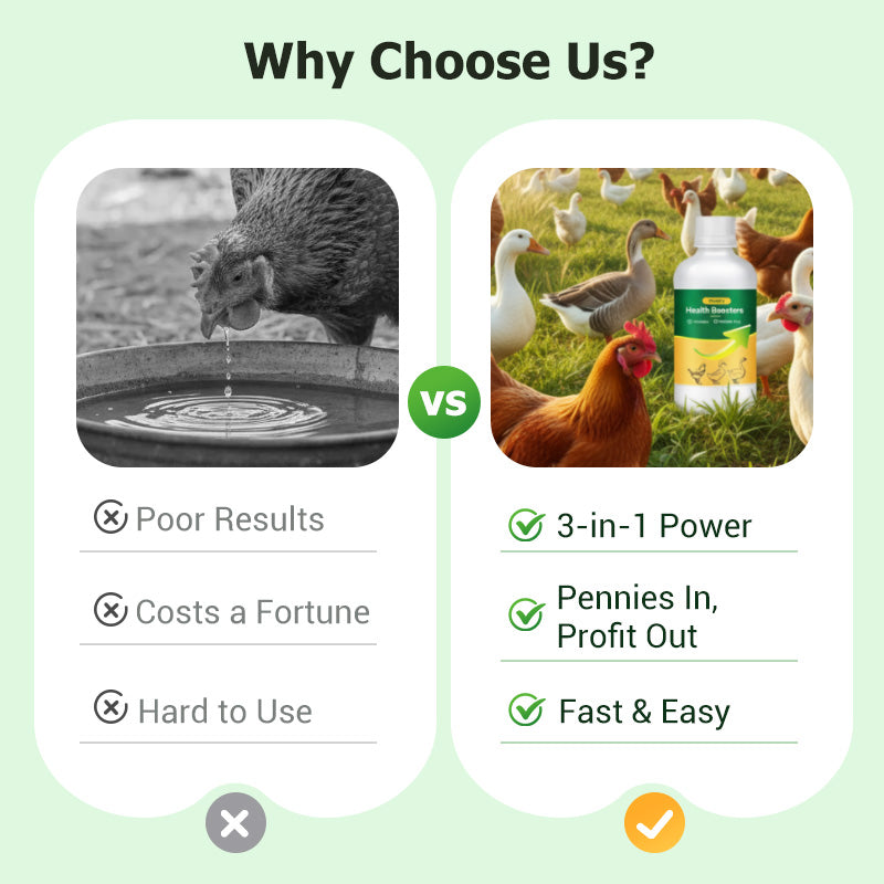 🐓Poultry Multi-Symptom Oral Solution – Treats Respiratory, Digestive & Immune Issues in One Dose!🐔💦