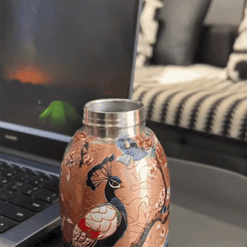🎁Gift Idea Hot Sale 49% OFF🔥Outdoor Portable Pocket Insulated Water Bottle