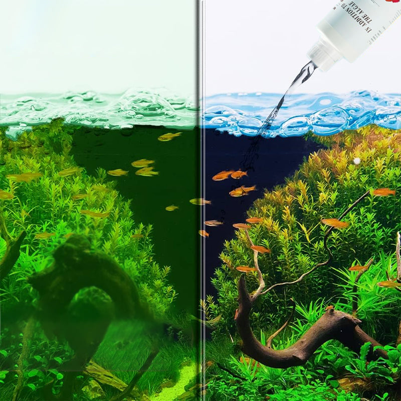 🔥2025 Hot Sale🔥Effective Algae Control for Aquarium(50% OFF)