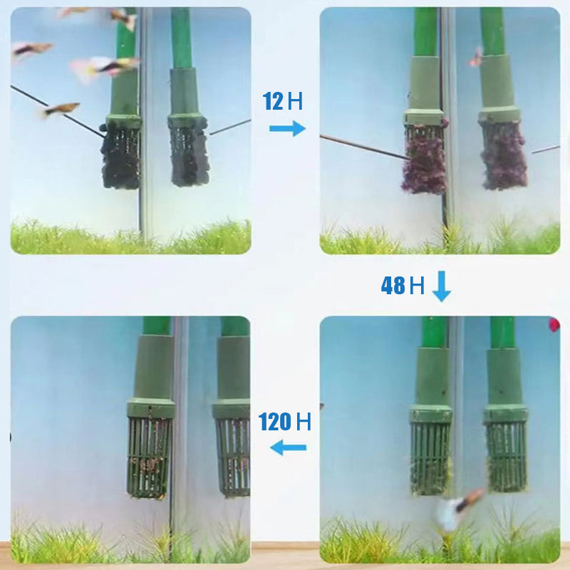 🔥2025 Hot Sale🔥Effective Algae Control for Aquarium(50% OFF)