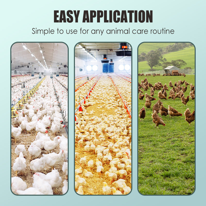 🔥200g Poultry Anti-Pecking Powder – Stop Feather Pulling & Cannibalism in Birds 🐔✨