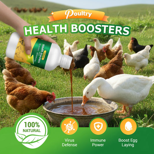 🐓Poultry Multi-Symptom Oral Solution – Treats Respiratory, Digestive & Immune Issues in One Dose!🐔💦