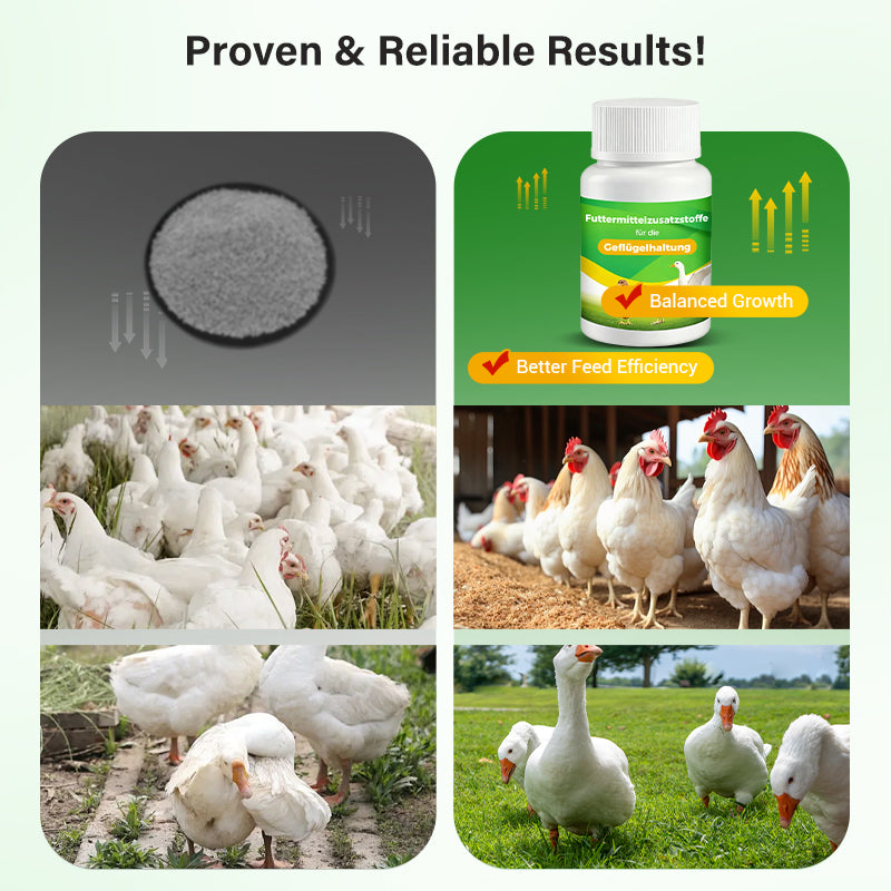 All-in-One Nutrient Tablets - Fight Disease & Cut Feed Costs by 30%!