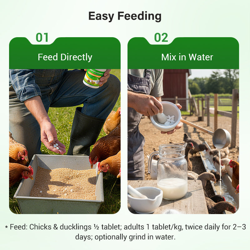 All-in-One Nutrient Tablets - Fight Disease & Cut Feed Costs by 30%!