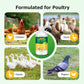 🐓Poultry Multi-Symptom Oral Solution – Treats Respiratory, Digestive & Immune Issues in One Dose!🐔💦