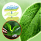 Compresse repellenti per insetti di piante e fiori 🌱50% di sconto🌱