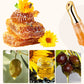 🔥2025 Hot sale🔥Transparent Colorless Moisturizing Lip Plumping Essence