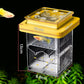 4-Layer Protective Detachable Acrylic Fry Hatching Box
