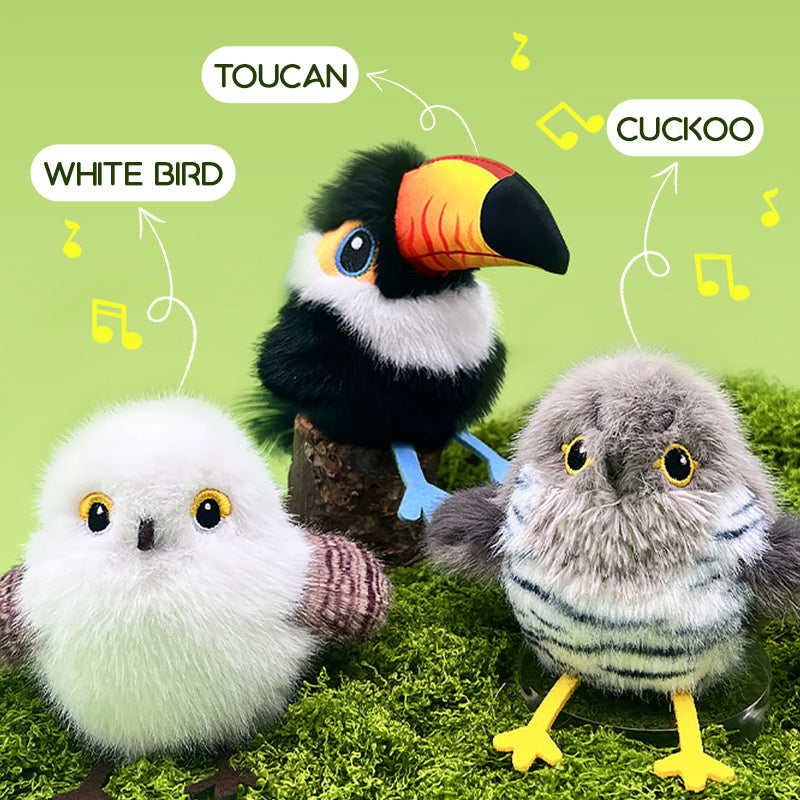🎁🐱Realistic bird-shaped interactive cat toy