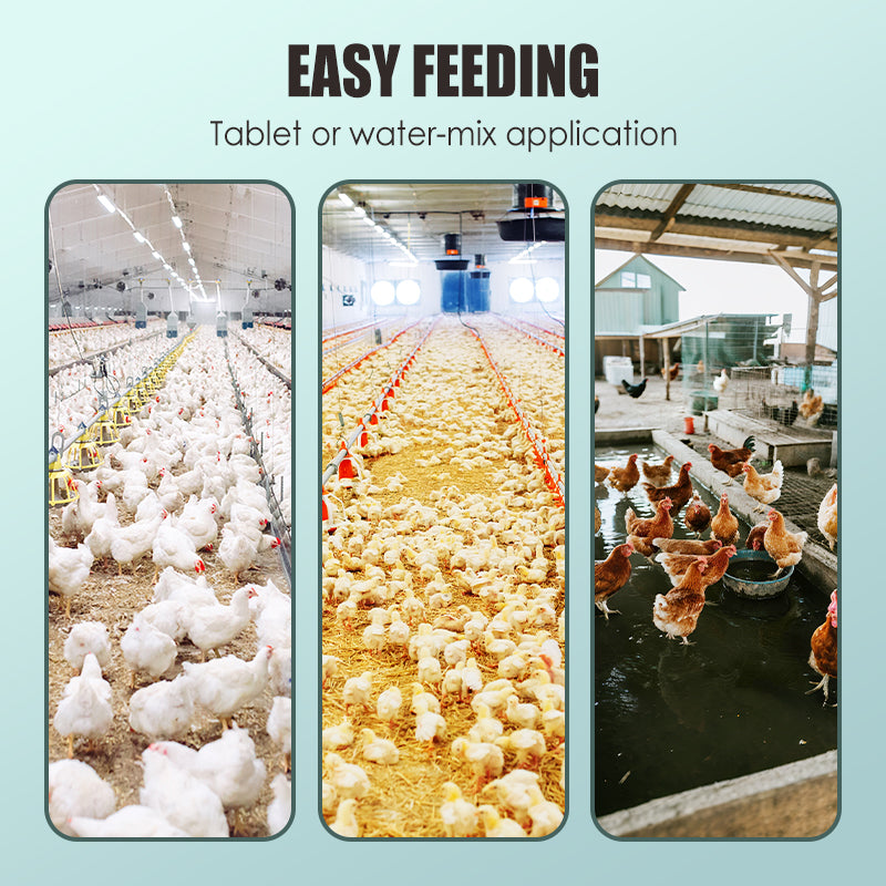 All-in-One Nutrient Tablets - Fight Disease & Cut Feed Costs by 30%!