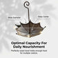 🔥 -50% This Week Only| Hanging Umbrella Bird Feeder & Bath